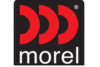 Morel