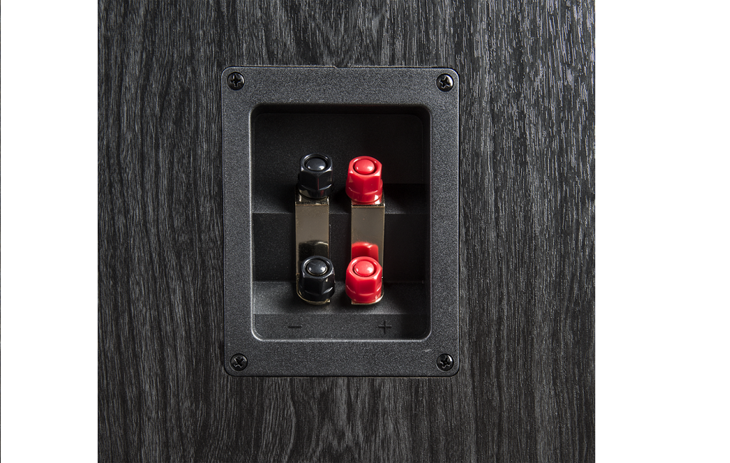 Підлогова Акустика Polk Audio Signature S 55e Black