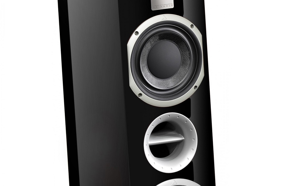 Напольная Акустика Triangle Signature DELTA Black