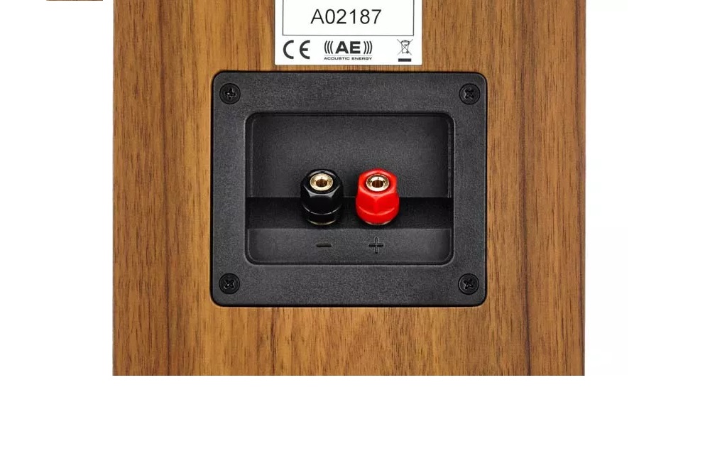 Полочна акустика Acoustic Energy AE 100 Walnut vinyl venner