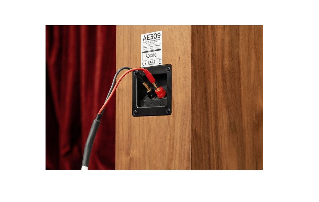 Підлогова Акустика Acoustic Energy AE 309 piano gloss black