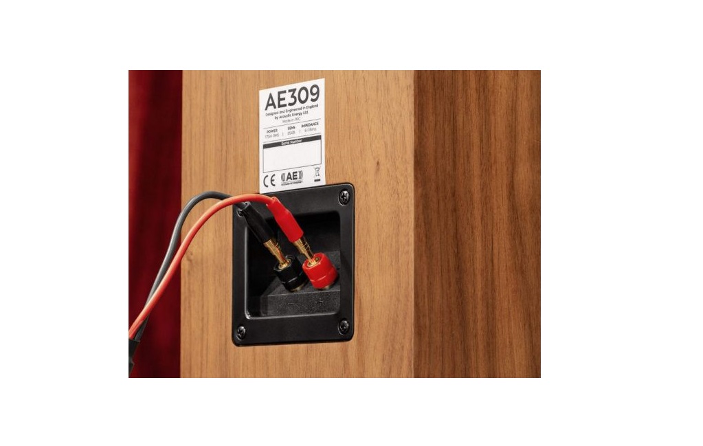 Підлогова Акустика Acoustic Energy AE 309 piano gloss white