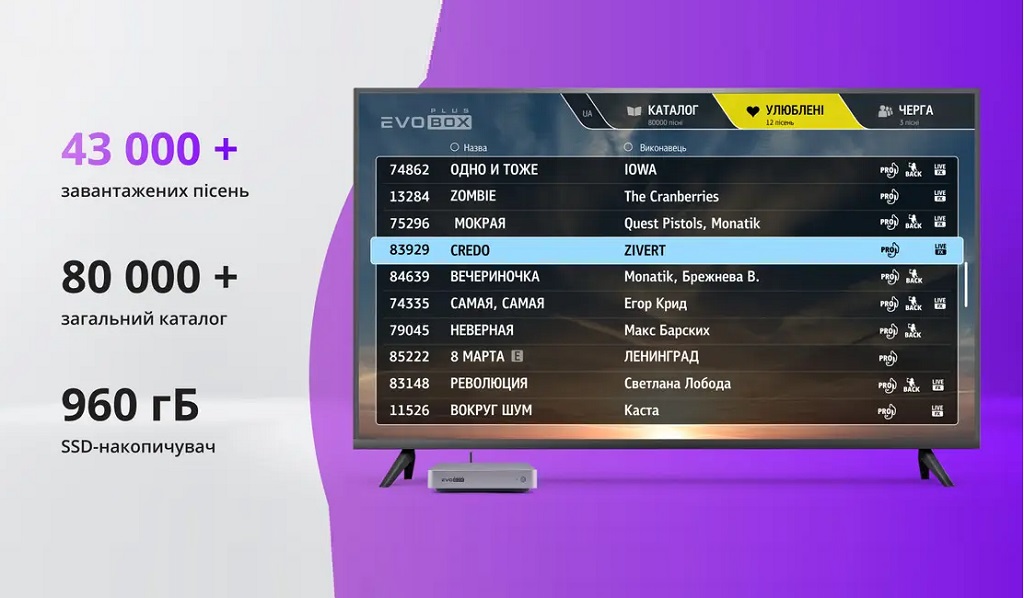 Караоке система Studio-Evolution EVOBOX Plus Black  з цифровими мікрофонами у комплекті