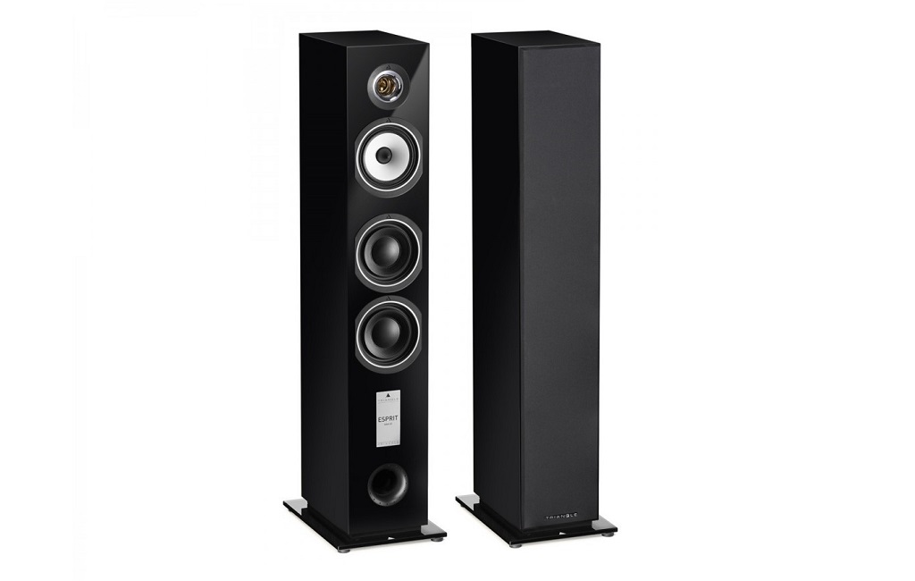 Напольная Акустика Triangle Gaia EZ Black