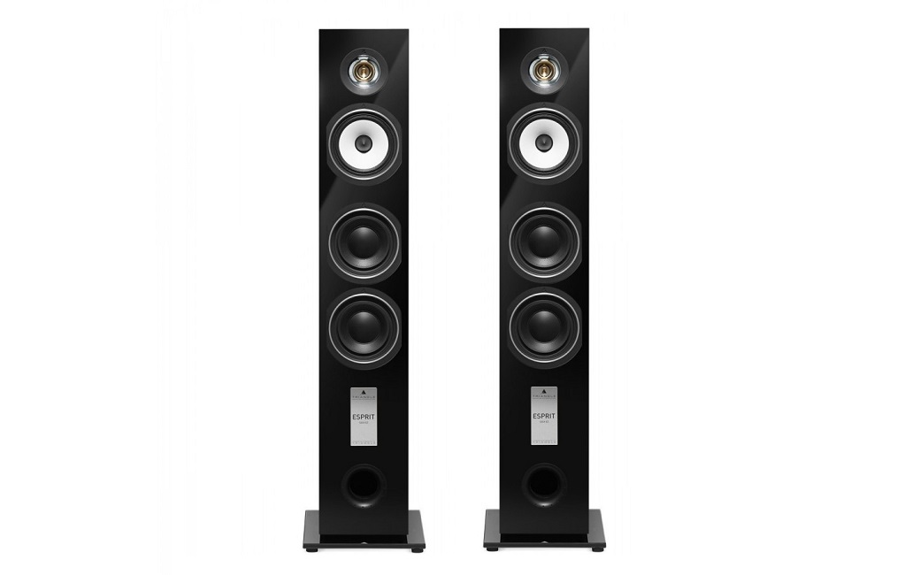 Напольная Акустика Triangle Gaia EZ Black