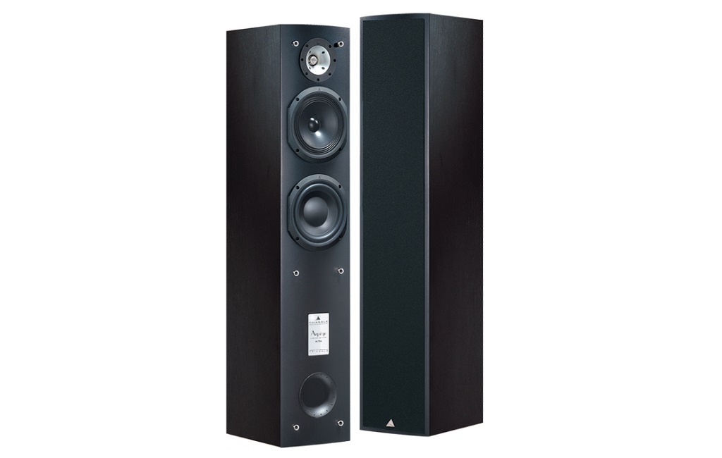 Підлогова Акустика Triangle ALTEA Arpege Black