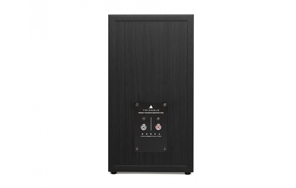 Полочна акустика Triangle Borea BR03 Black