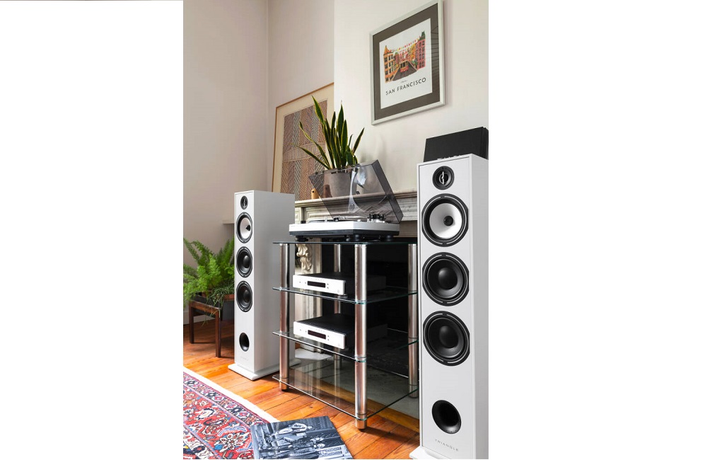 Підлогова Акустика Triangle Borea BR08 White