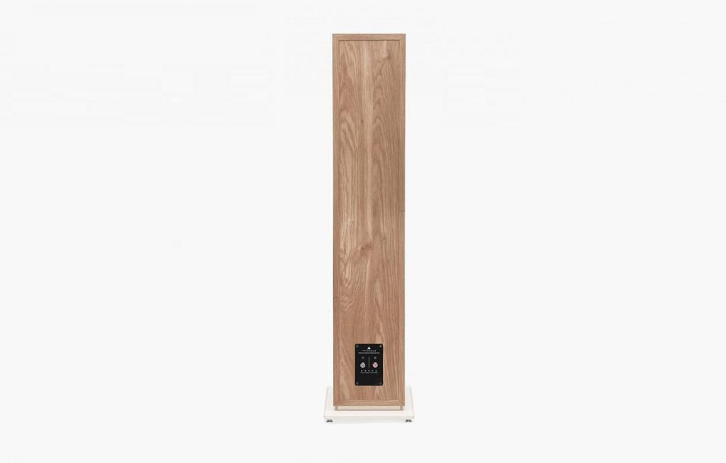 Підлогова Акустика Triangle Borea BR09 Light Oak