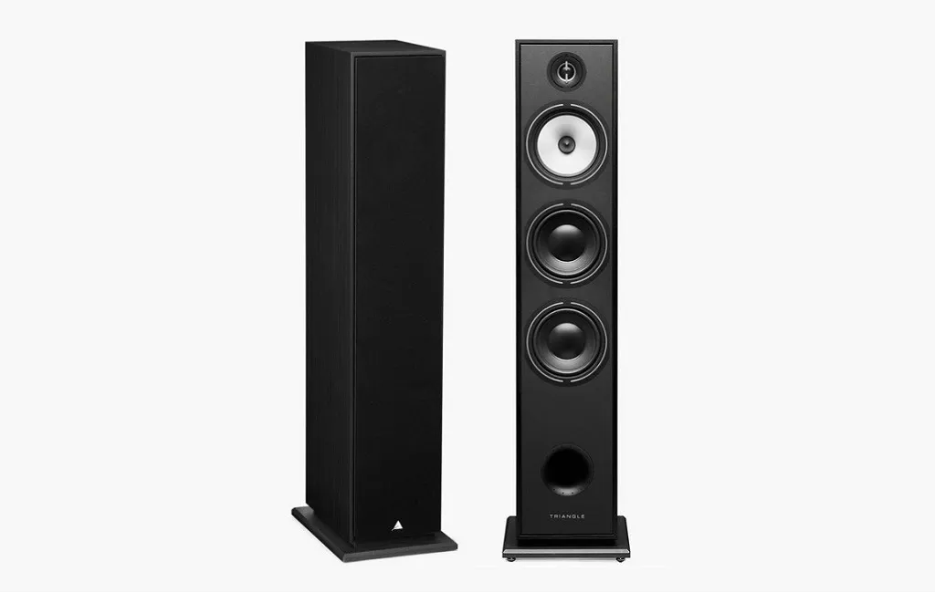 Підлогова Акустика Triangle Borea BR08 Black