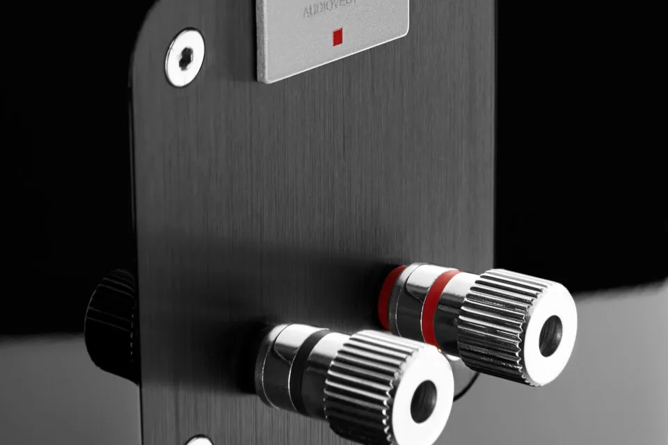 Полочна акустика Audiovector QR 1 Black Piano