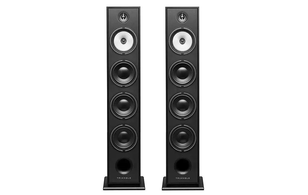 Підлогова Акустика Triangle Borea BR09 Black