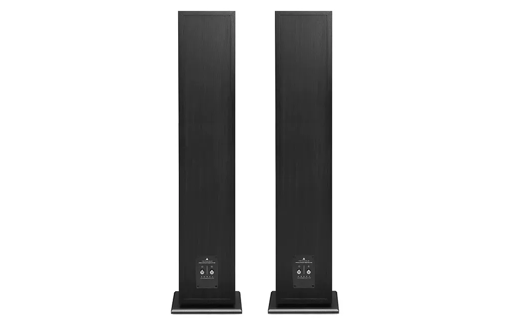 Підлогова Акустика Triangle Borea BR09 Black