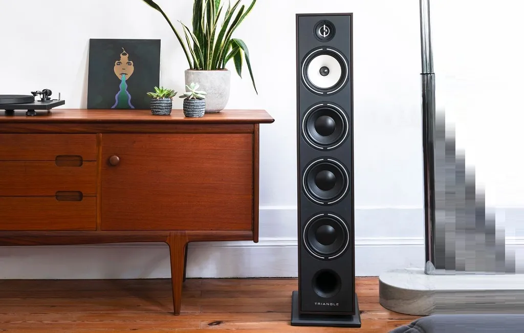 Підлогова Акустика Triangle Borea BR09 Black