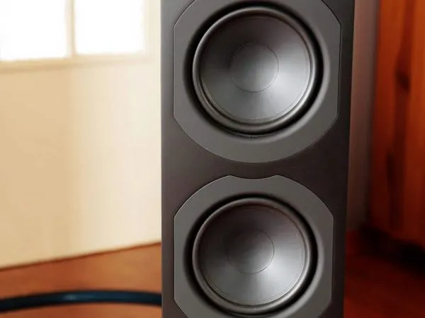 Підлогова Акустика System Audio Saxo 60 Black