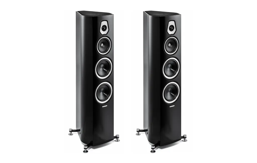 Напольная Акустика Sonus Faber Sonetto V Black