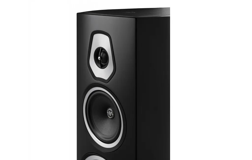 Напольная Акустика Sonus Faber Sonetto V Black