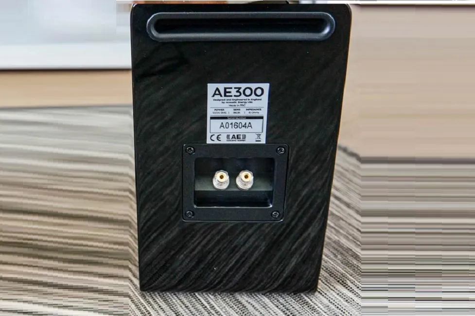 Полочна акустика Acoustic Energy AE 300 piano gloss black