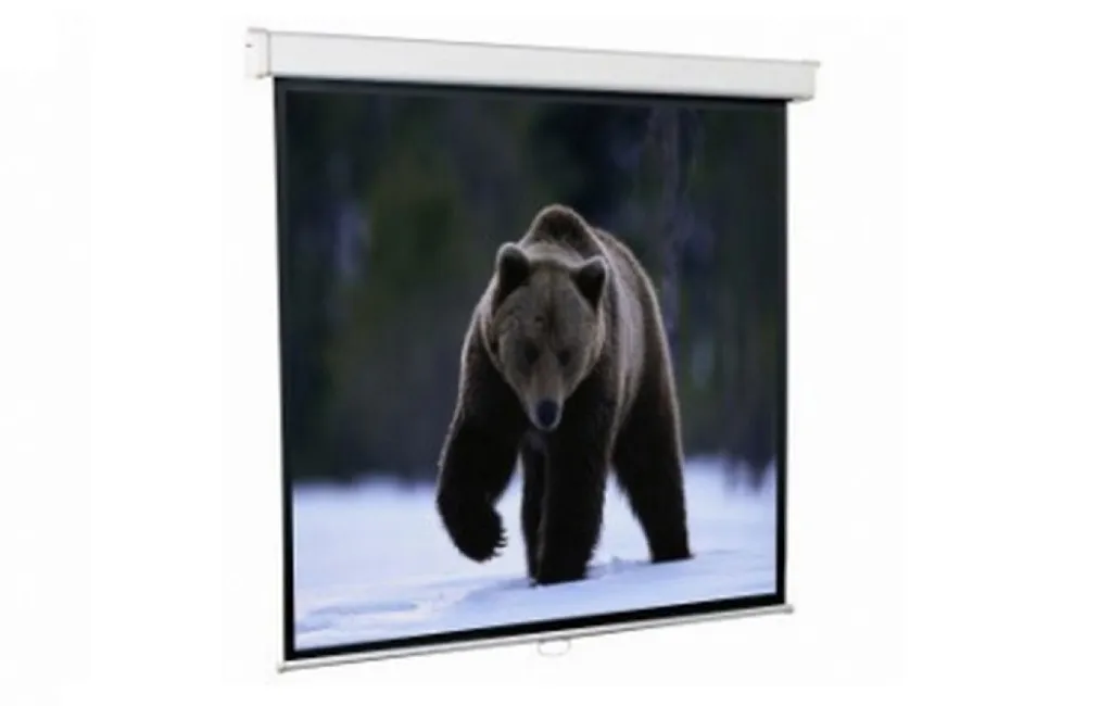 Екрани для проекторів Redleaf SGM-1103