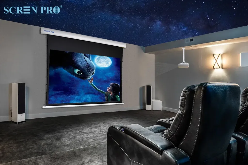 Экраны для проекторов Screen Pro TJ9110T8R8 110