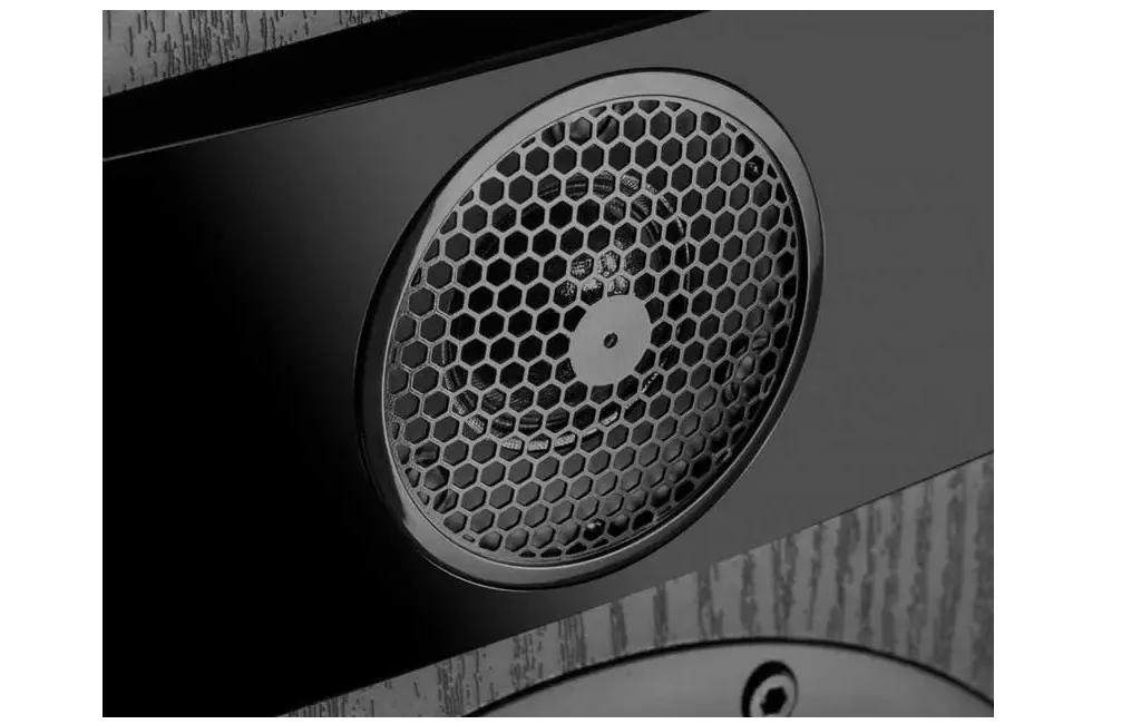 Підлогова Акустика Fyne Audio F302i Black Ash