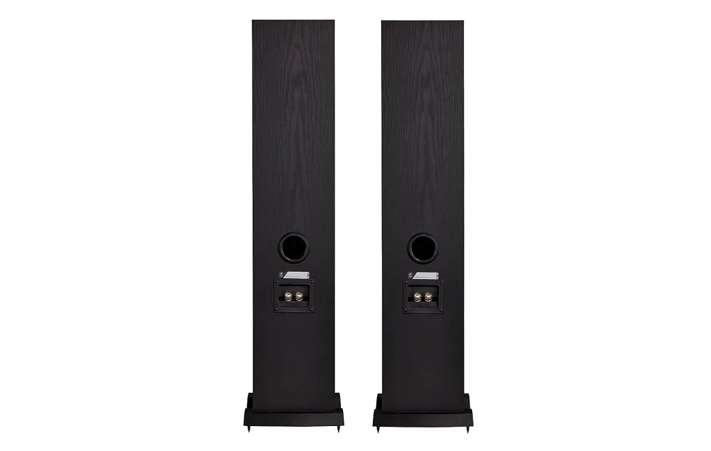 Підлогова Акустика Fyne Audio F302i Black Ash