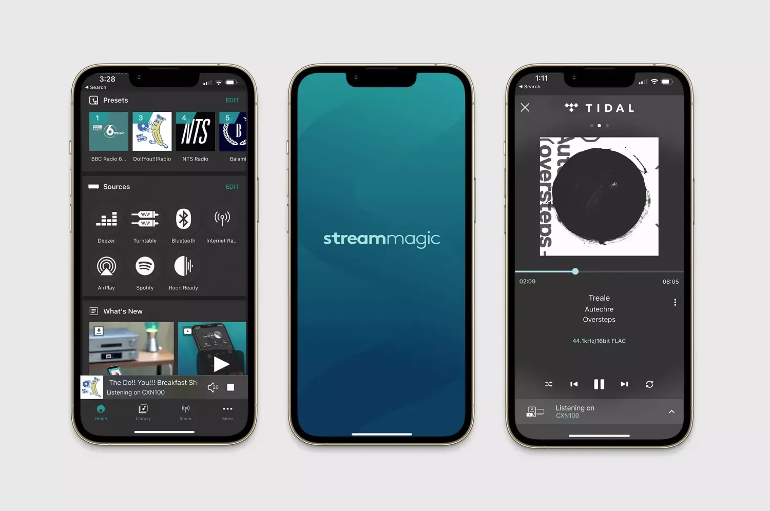 Сетевой плеер Cambridge Audio CXN100 Luna Grey