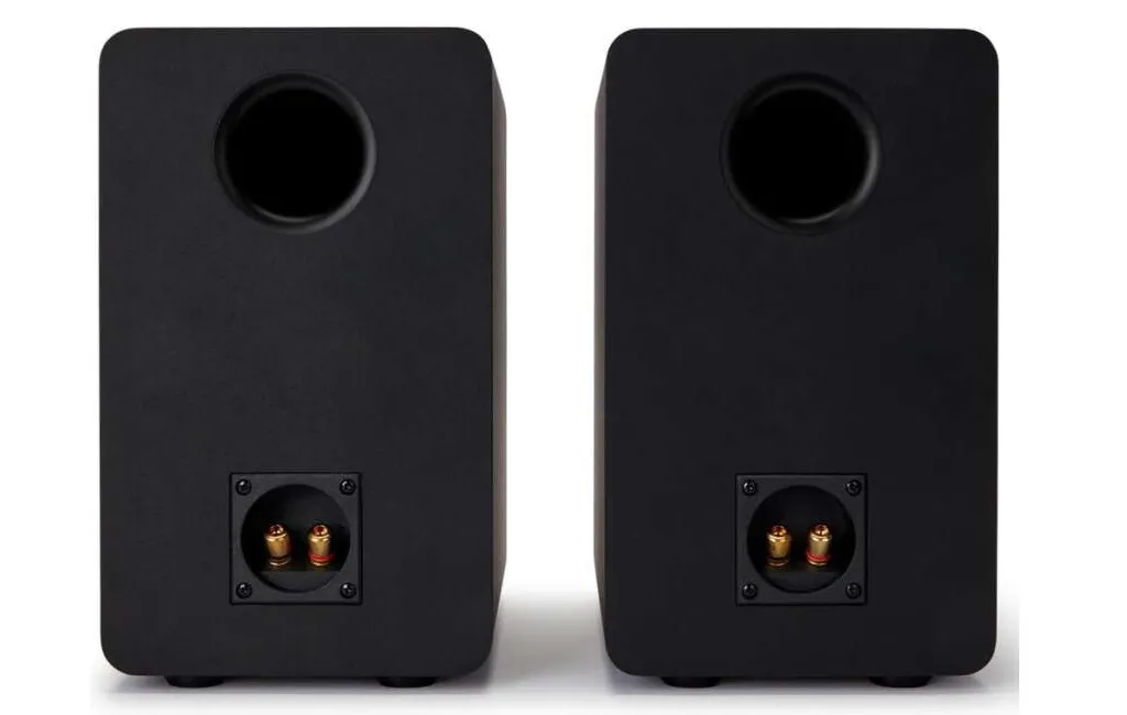 Полочная акустика Aiwa SP-A100