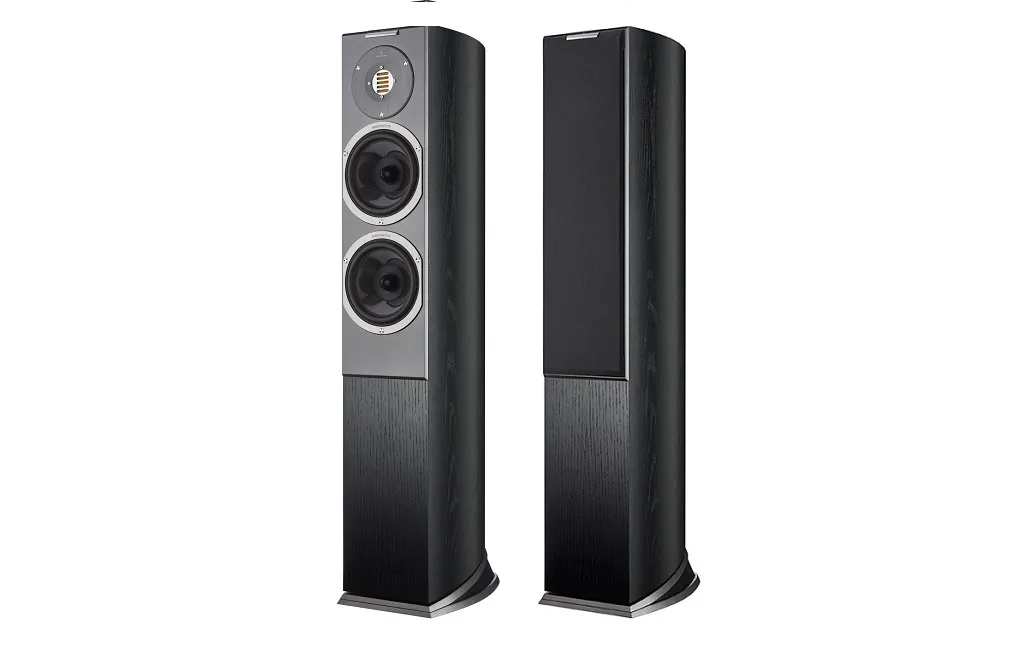 Підлогова Акустика Audiovector R3 Arrete Black Ash