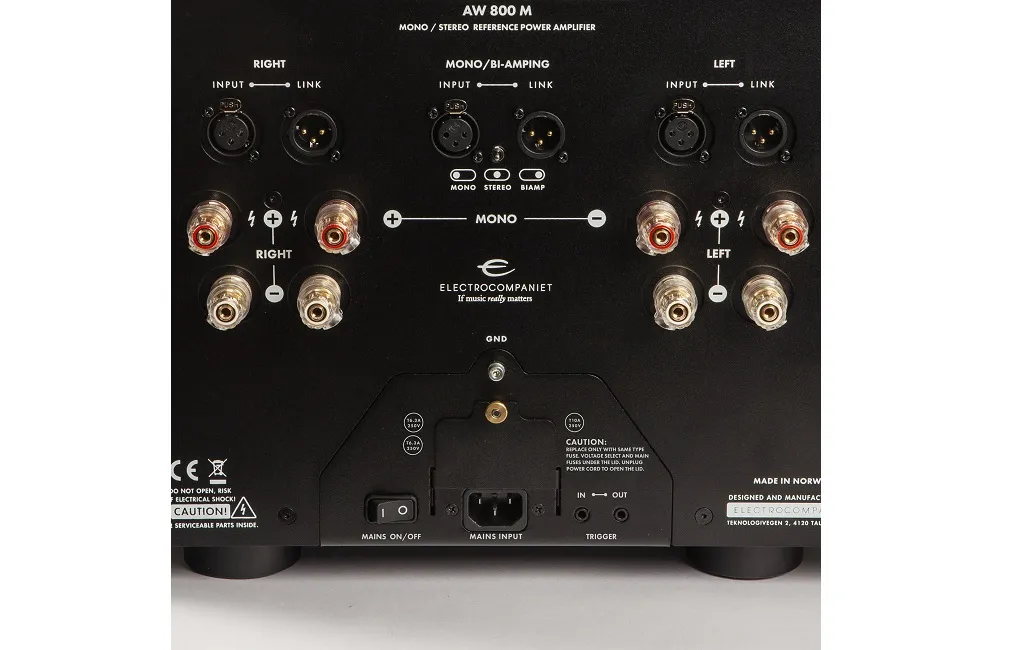 Підсилювачі потужності Electrocompaniet AW 800 M