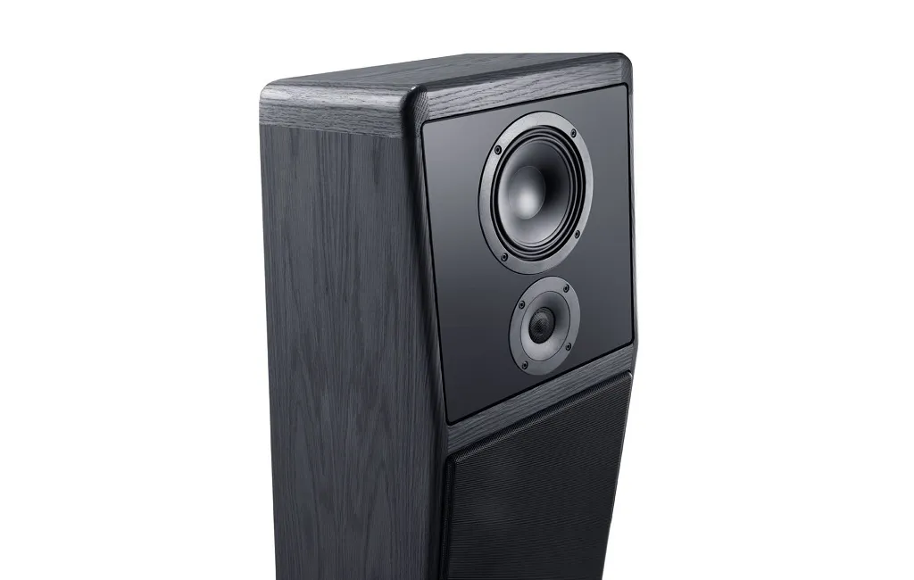 Напольная Акустика Canton Ergo GS Edition Black Oak