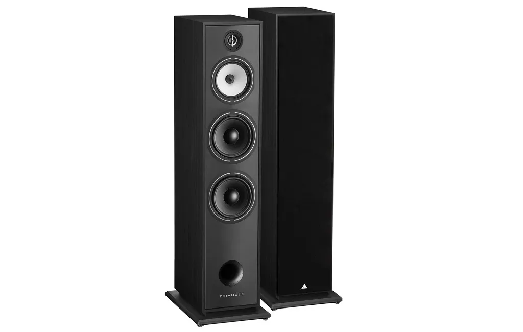 Напольная Акустика Triangle Borea BR10 Black