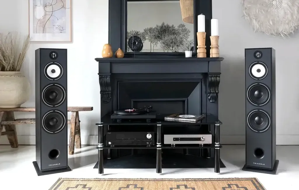 Напольная Акустика Triangle Borea BR10 Black