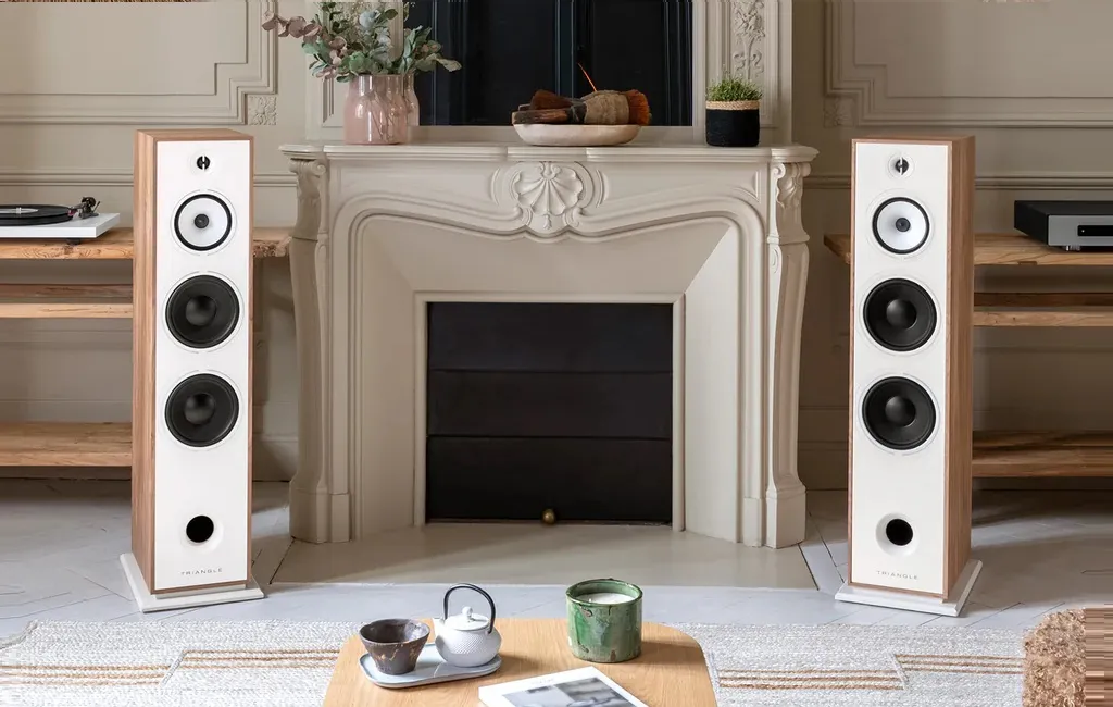 Напольная Акустика Triangle Borea BR10 Light Oak