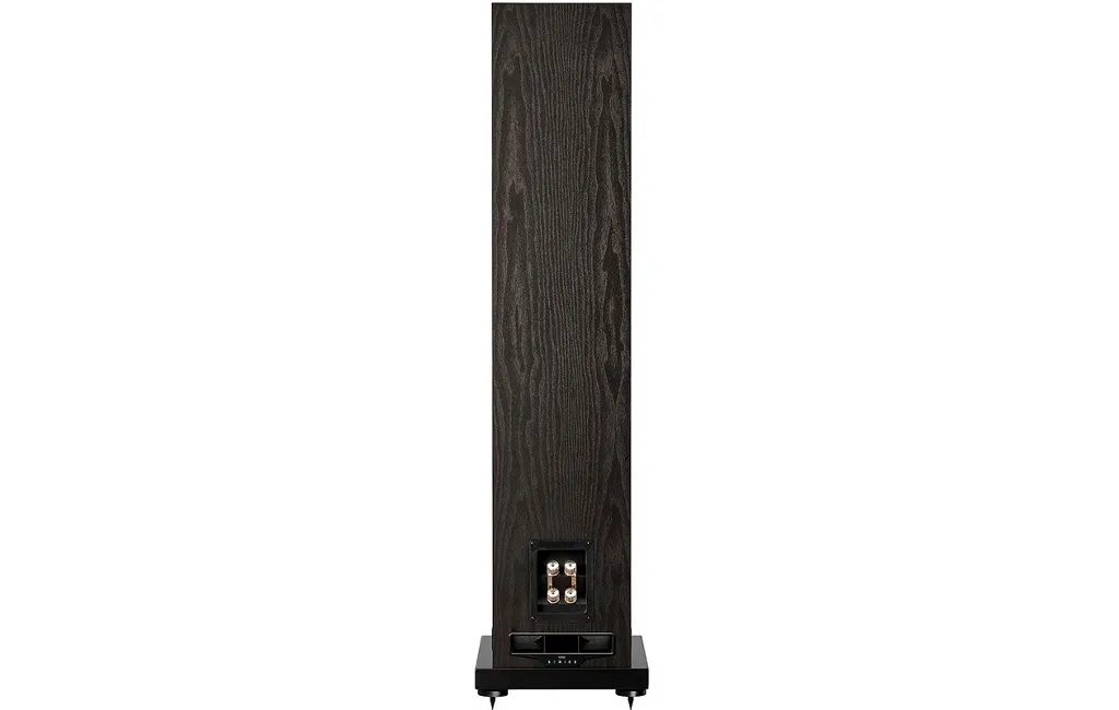 Напольная Акустика Fyne Audio F501E Black