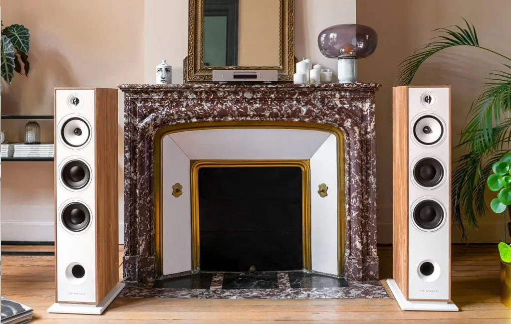 Напольная Акустика Triangle Borea BR08 Light Oak