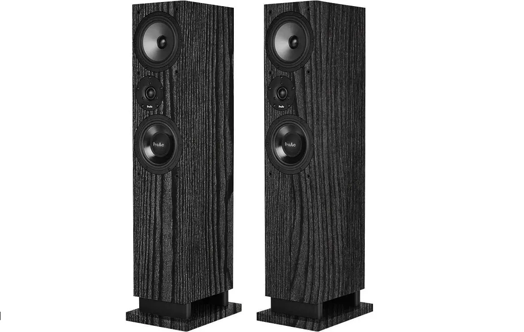 Підлогова Акустика ProAc Response DT8 Black Ash