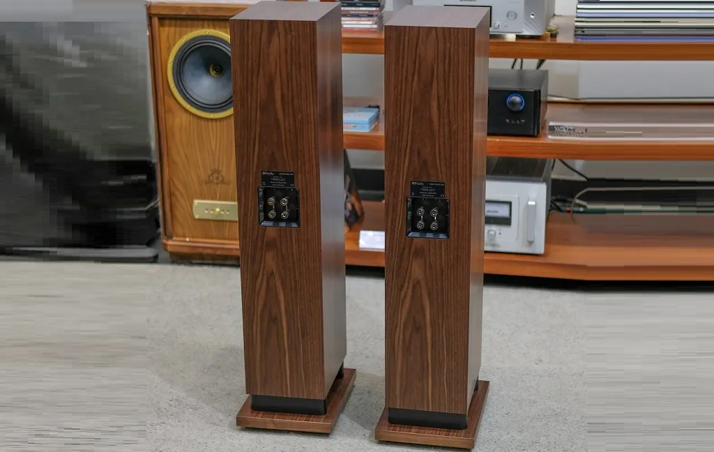 Підлогова Акустика ProAc Response DT8 Black Ash