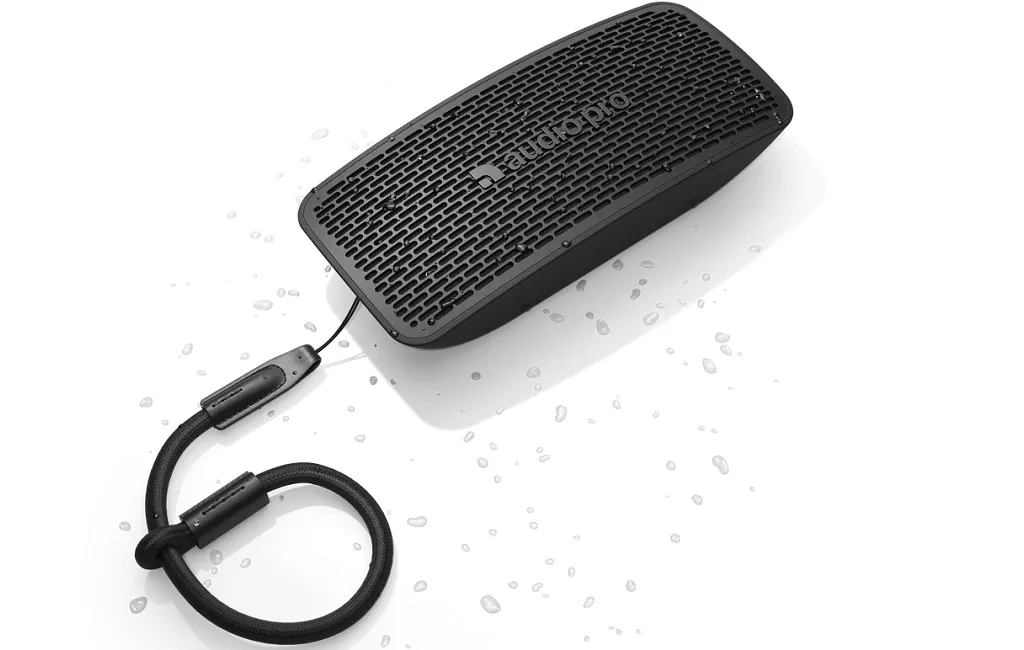 Портативна акустика Audio Pro P5 Black