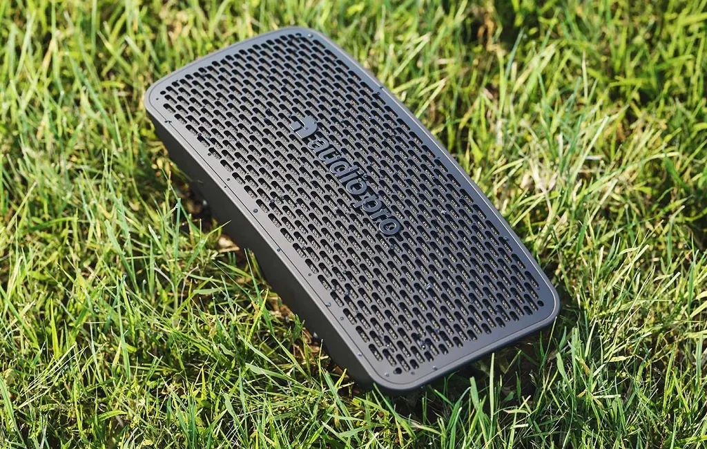 Портативна акустика Audio Pro P5 Black