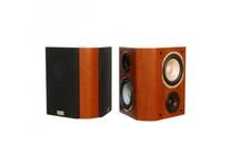 TAGA HARMONY Platinum S-100 WALNUT 