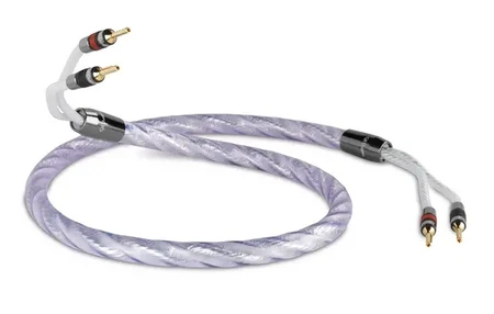 QED GENESIS PRE-TERM CABLE 3M (QE1484)