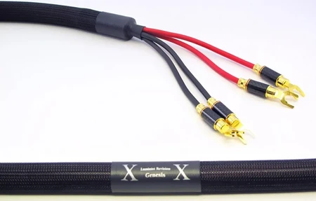 Purist Audio Design Genesis - 2m