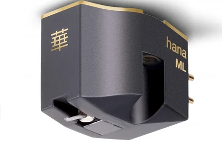 Hana - ML (MC)